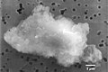 Image 47Smooth chondrite interplanetary dust particle. (from Cosmic dust)