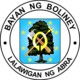 Official seal of Boliney