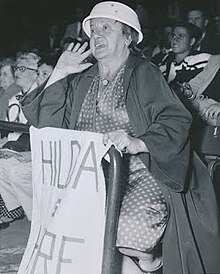 A woman in the stands at a baseball game