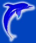 Logo of PCU Dolphins