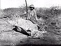 Prince Ghica's son, Nicolae posing with his fourth rhino, Somalia 1895.