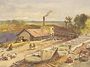 Indigo dye factory in Bengal. Bengal was the world's largest producer of natural indigo in the 19th century.