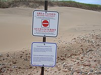 Piping plover protected nesting area on Cavendish Beach, P.E.I.