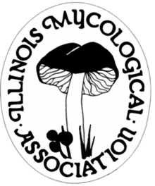 Illinois Mycological Association logo