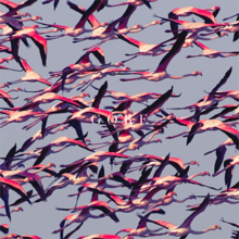A flying flock of flamingos in a pastel blue background, with "Gore" appearing in the center.