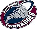 An oval-shaped logo rotated upwards thirty degrees. The inner part of the logo has a stylized tornado in grey on a navy blue oval background. A white rugby ball with navy blue markings along its seams is emerging from the top of the tornado. The outer part of the logo is a wide oval ring, maroon in colour with white lettering displaying the word Ballymore on the top half and word Tornadoes below.