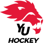 York Lions athletic logo