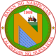 Official seal of Nampicuan