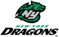 New York Dragons logo (2009, Unused)