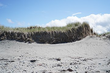Sandy beach in Cow Head, 2020