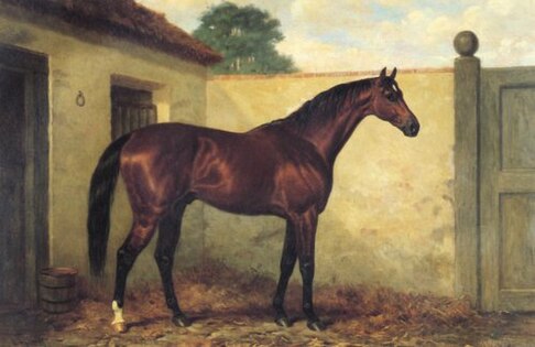 "Kingcraft Bay racehorse" (1877) by Henry Hall