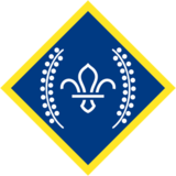 The Chief Scout's Platinum award badge