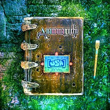 The cover art of USA, depicting a paintbrush and hard-bound book, the latter of which has a screen showing the letters "USA" embedded into the front cover, and above it, the word "Anamanaguchi".