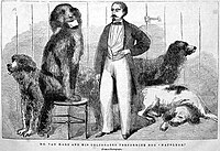Napoleon the Wonder Dog with his Master, G. Van Hare, performing in Van Hare's Magic Circus, London, 1862