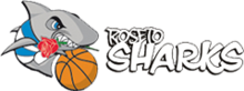 Roseto Sharks logo